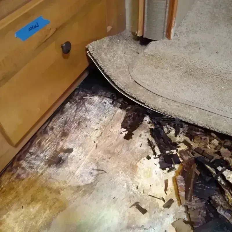 Wood Floor Water Damage in Parole, MD